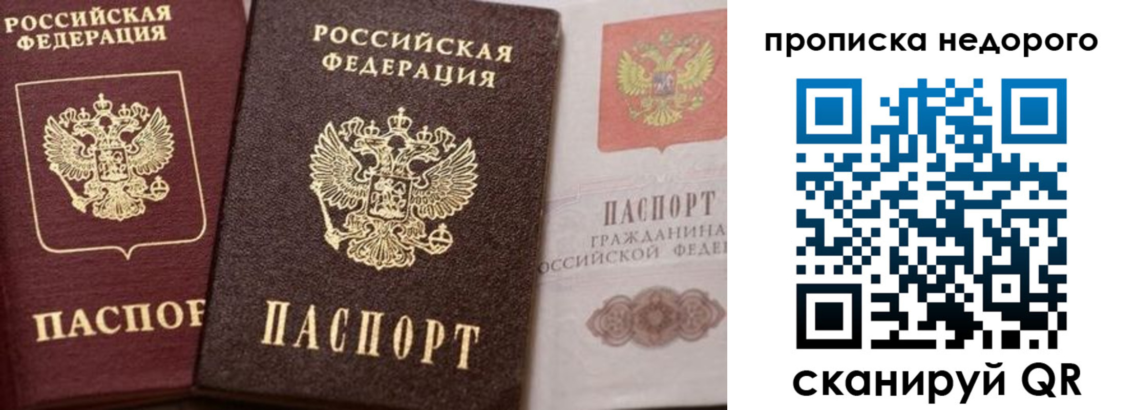 временная регистрация надежно в Завитинске