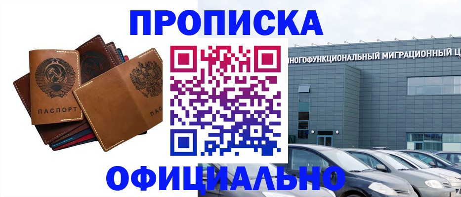 прописка в квартире в Завитинске
